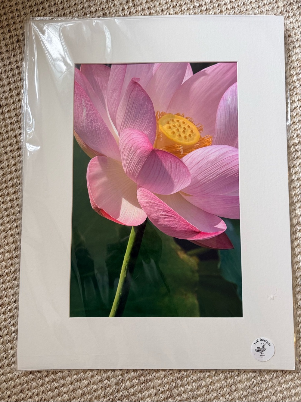 Pink Lotus Wall Art Print - Elegant Floral Home Art
